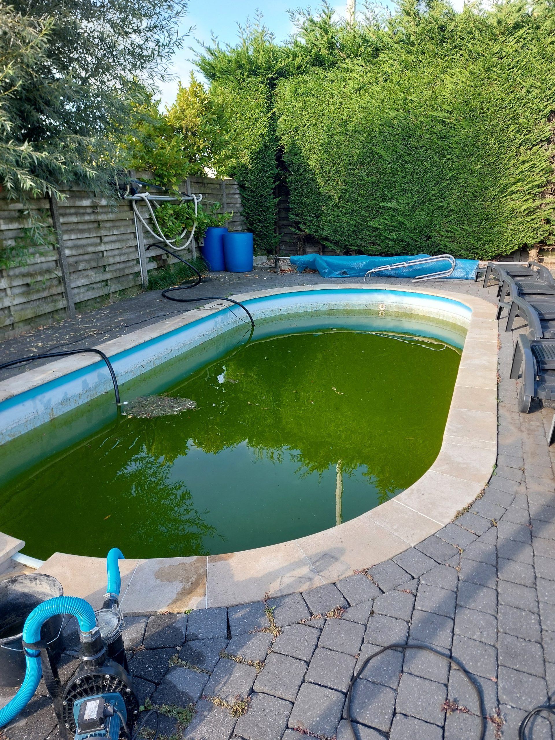 Zwembad met groen water dat moet gerenoveerd worden.